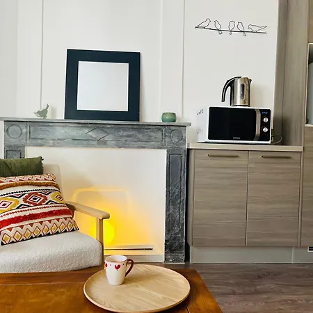 Beau F2 De 50 M2 Spacieux Style Loft Au Calme Avec Wifi Apartment Montpellier